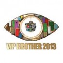 VIP BROTHER 2013