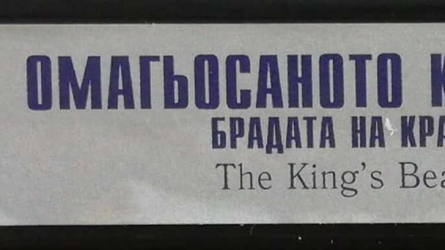 Омагьосаното кралство: Брадата на краля (2001) (бг аудио) (част 3) VHS Rip Айпи видео 2002
