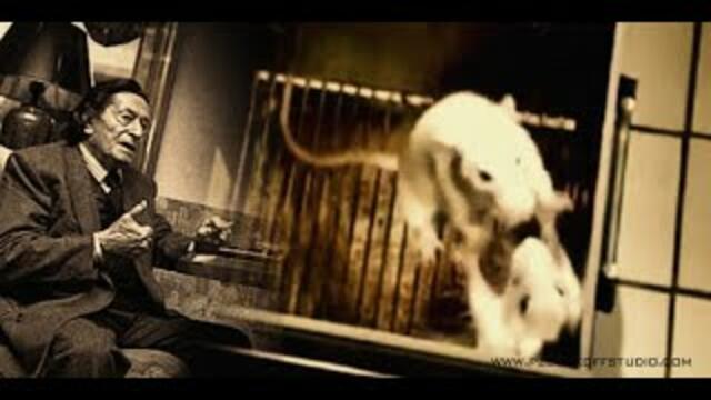 „Експеримент на Анри Лабори“ – за мишките и хората