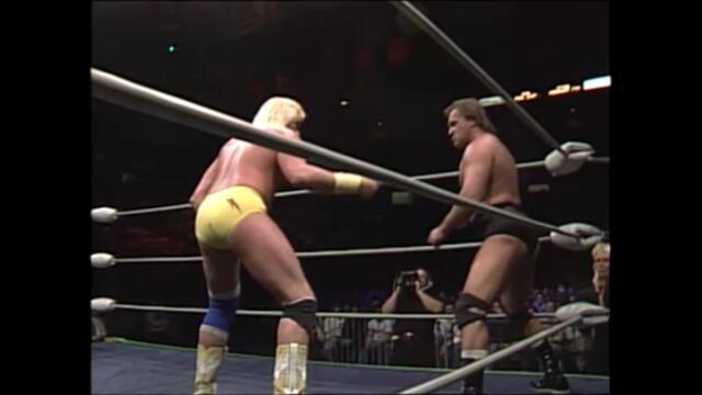 NWA: Larry Zbyszko vs Barry Windham (UWF Western States Championship)