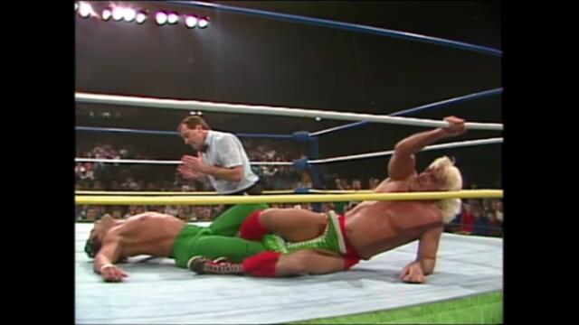 Ricky Steamboat vs Ric Flair (NWA World Heavyweight Championship)