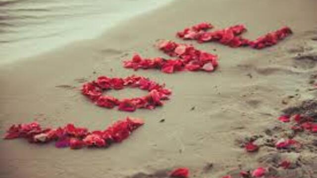 ПРЕВОД *Море от рози - Sea Of Roses ☸ڿڰۣ-ڰۣ— Dare
