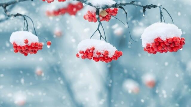 Музиката на Шопен 🦌 🎅  Зима 🎄🎶💓️