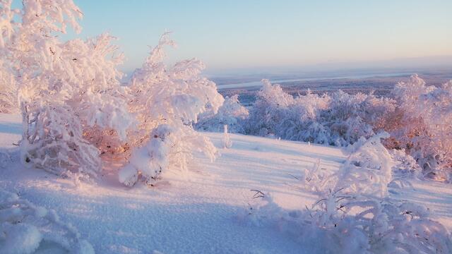 Зимен ден ❄️ 👑 Гласовете на Природата ❄️ 👑