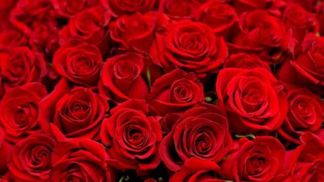 Милион Червени Рози🌹❤️ Million de Roses 🌹❤️ In Love (Music Video) ~ 💖 ~ ♛~ 💖 ~♛ ~ 💖 ~ 💖 ~ ♛