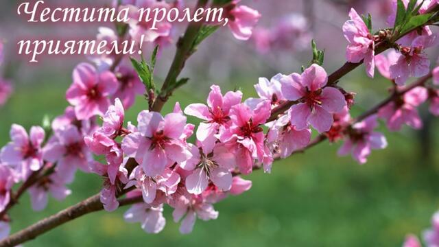 Очакване за пролет 🌿🌷🐞 ~ Честита Първа Пролет!