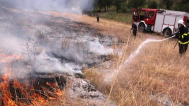 Голям пожар гори край Пловдив 2 септември 2021 г. - Пожар в сухи треви между Брестник и Белащица