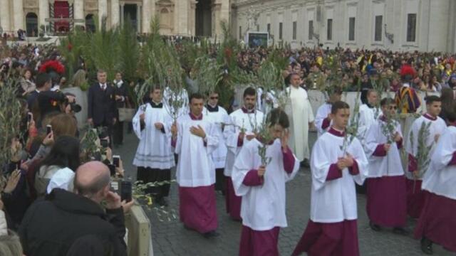 Католиците отбелязаха Палмова неделя или Цветница, папа Франциск осъди войната