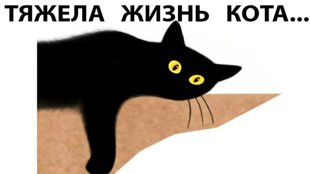 Мемы 2022 ( Про100 мемы и приколы с котами ) выпуск 353 - Тяжела жизнь кота
