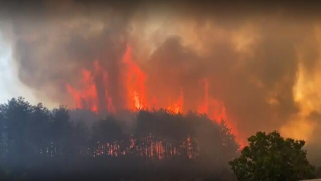 Голям пожар бушува на Подбалканскя път край Казанлък