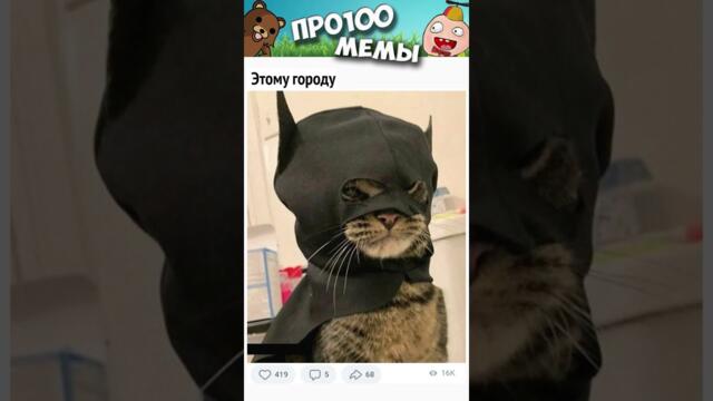 Смешные Коты 2022 Лучшие мемы и приколы с котами Мемы Про100