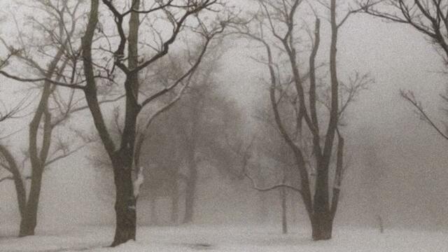 a playlist for a melancholic winter (dark academia)
