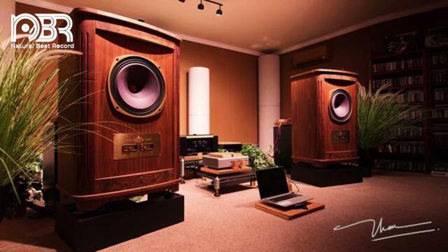 Audiophile Perfect Room & Hi Res Music - Natural Beat Records