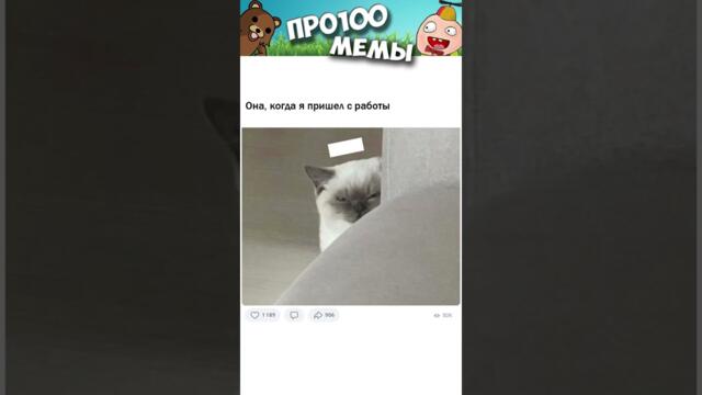 Мемы про котиков ПЫЛЬ и РОБОТЫ #мемы #юмор #смешно #прикольно