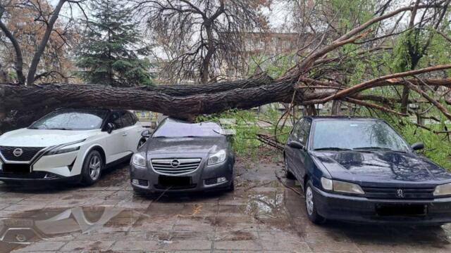 Буря и Силен вятър вилняха в Пловдив 28 март 2023 г.