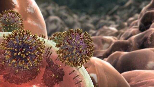 Life Cycle Of Influenza A Animation