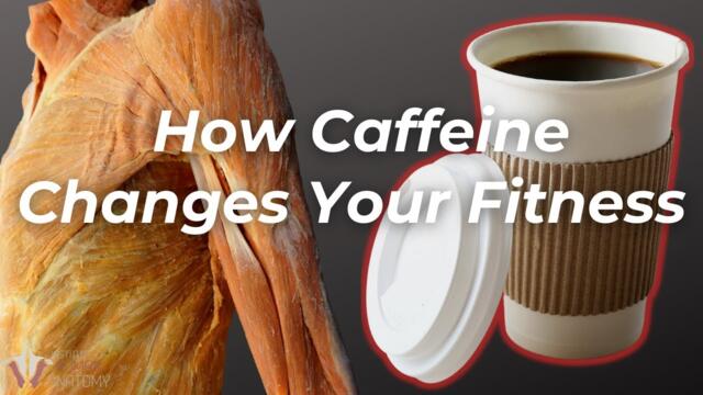 How Caffeine Affects Exercise & Athletic Performance