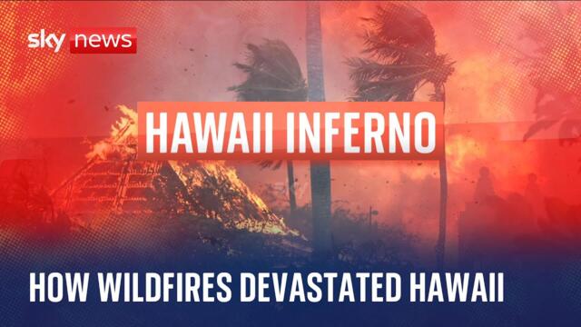 How wildfires took hold of Hawaii
