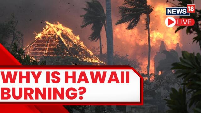 Maui Wildfires News LIVE | Maui Wildfire Live | Hawaii Wildfires 2023 | Maui Fires Death Toll Rises