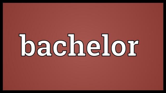 Bachelor Meaning