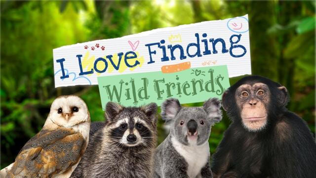 I Love Finding Wild Friends Game Trailer