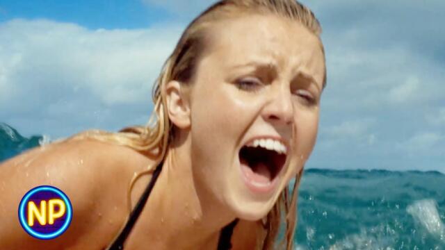 Shark Attack! | Soul Surfer (2011) | Now Playing
