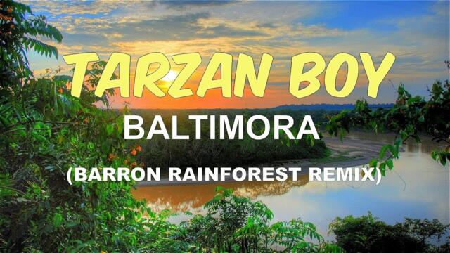 Baltimora - Tarzan Boy (Barron Rainforest Remix)