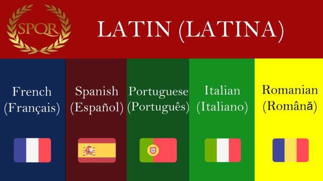Romance Languages Compared to Latin