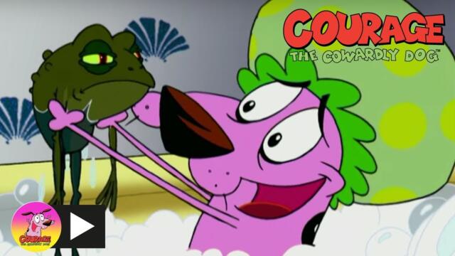 Courage the Cowardly Dog | Too Many Frogs | Cartoon Network