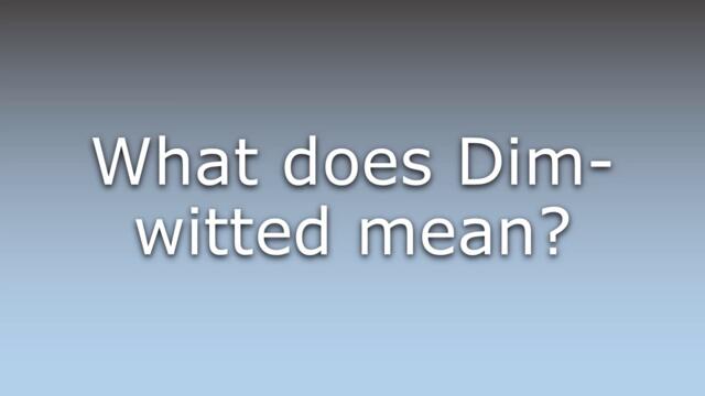 What does Dim-witted mean?