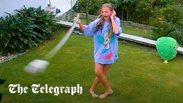 12-year old swings python 'like a hammer thrower' to save pet guinea pig