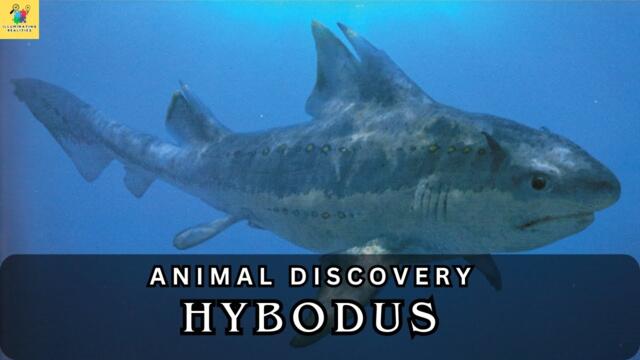 Hybodus: Legend of an Ancient Warrior of the Seas