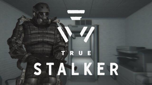 True Stalker | How To: All Endings