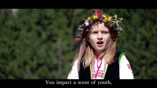 Sofia Ivanova -Хубава си, моя горо  / You are beautiful, my forest
