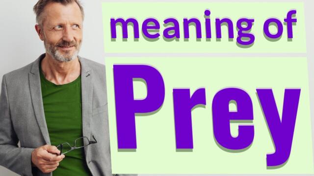 Prey | Meaning of prey
