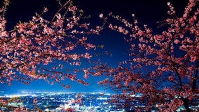 TOKYO - Asian Chillout {Japanese Luxury Lounge}