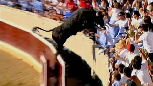 ЛЮБОПИТНО! Bull in the Stands