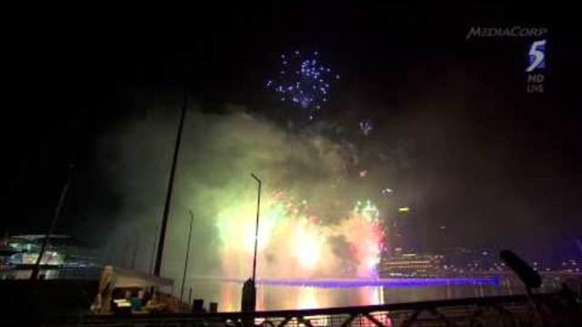Singapore 2014 New Year