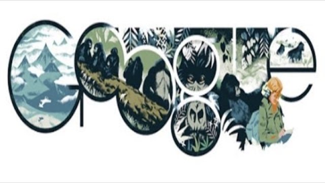 Даян Фоси (Dian Fossey) - Американската Зооложка Google Doodle 2014