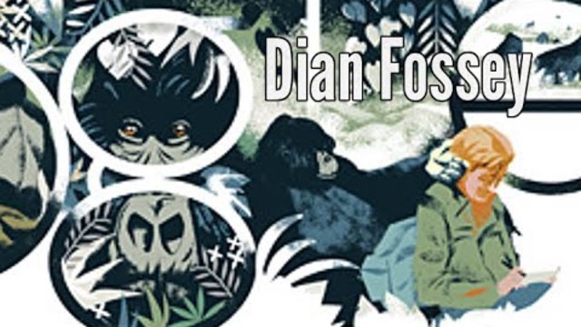 Даян Фоси (Dian Fossey) Google Doodle 2014 - Американската Зооложка