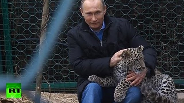 Путин влезе в клетката на леопард. Вижте какво посъветва журналистите (снимки и видео)