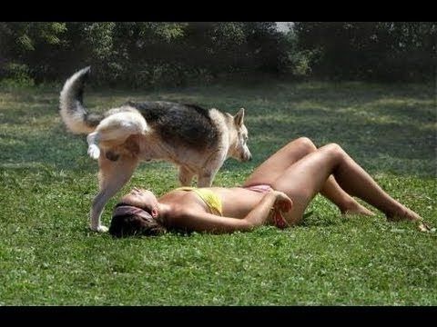 FUNNY VIDEOS FAIL COMPILATION 2013