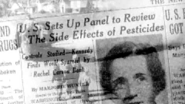Рейчъл Карсън - Rachel Carson  DDT chemical pesticides