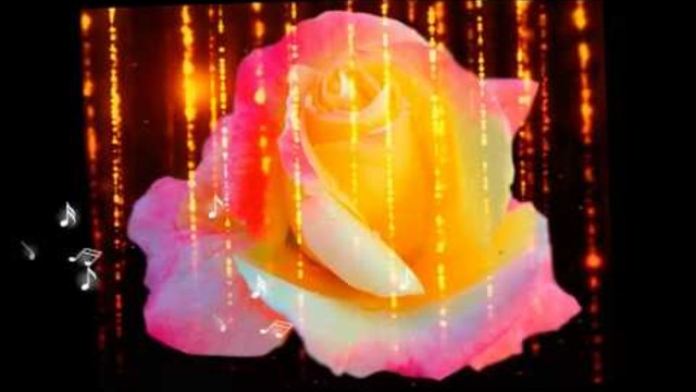 Вълшебният свят на розите ...  ... (music Ernesto Cortazar) ... ...