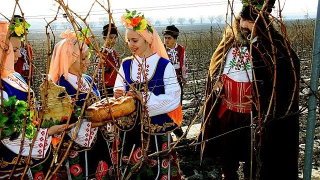 В навечерието на Трифон Зарезан! Поздрав за всички,които ще празнуват Българския Празник!