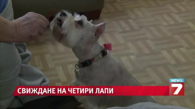 Куче само посети собственика си в болница
