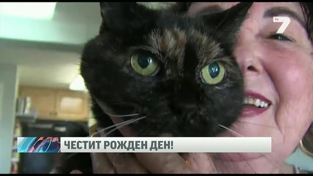 Най-старата жива котка на света навърши 27 години