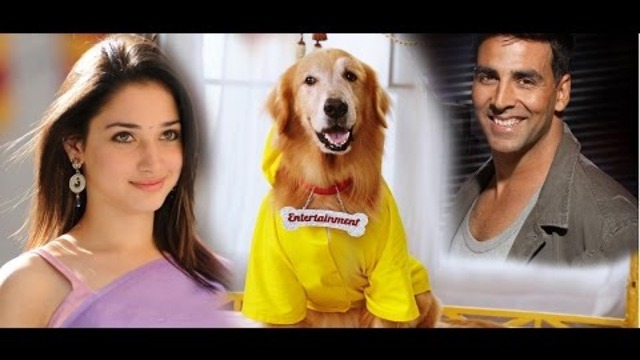 New Hindi Dubbed Comedy Movies 2014 Full HD - New Bollywood Movies  - Best Indian Movies 2014
