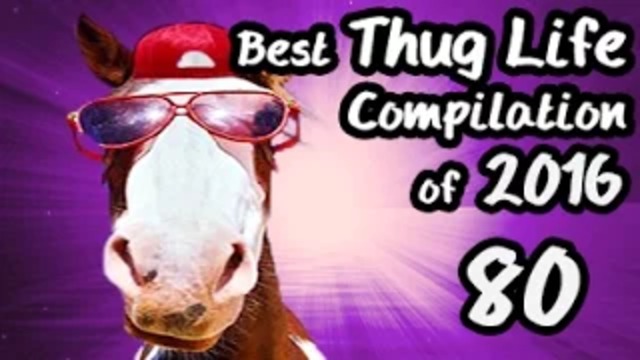 Best Thug Life Compilation of 2016 Part 80