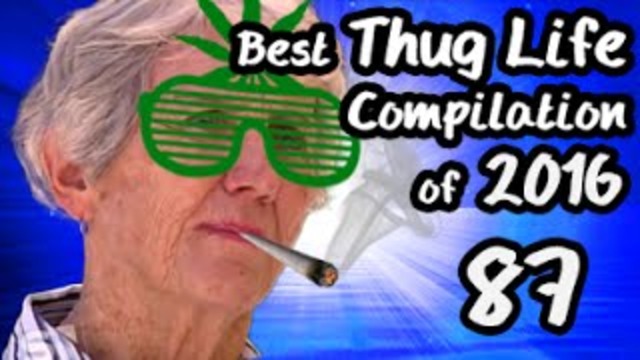 Best Thug Life Compilation of 2016 Part 87